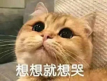1602473709779865.jpg 微信图片_20201012113457.jpg