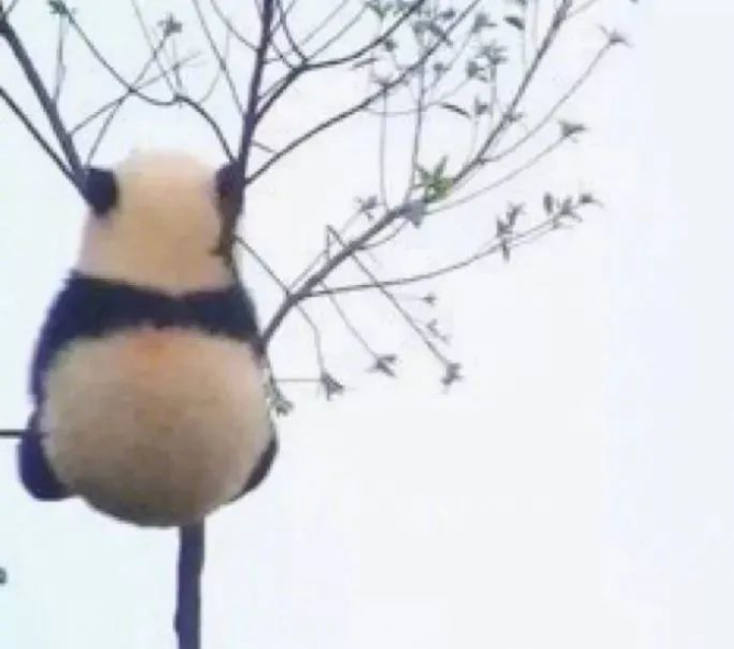 1676273143711872.png image.png